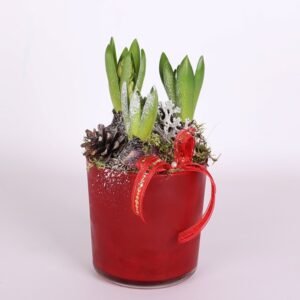Hyacinths in a red pot